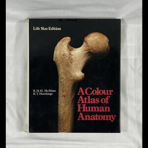 WOW RARE 1977 A Colour Atlas of Human Anatomy (Life Size Edition)(Wolfe Medical)